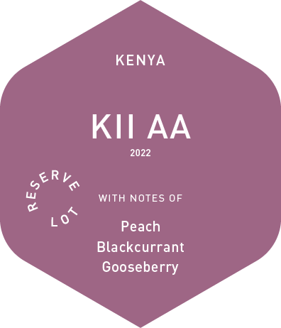 Kii AA - Wet Process - 2022