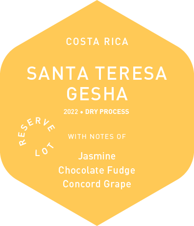 Santa Teresa Gesha - Wet Process - 2022