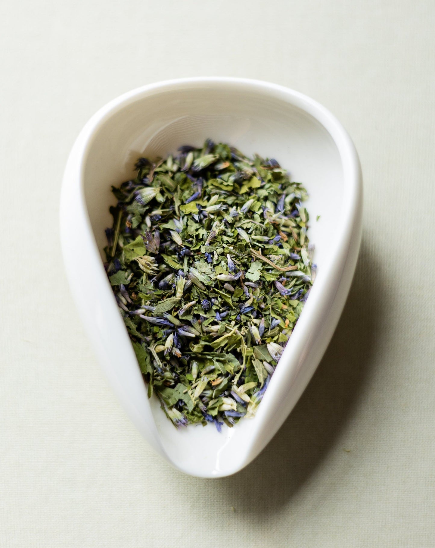 Star Bright Anise Hyssop