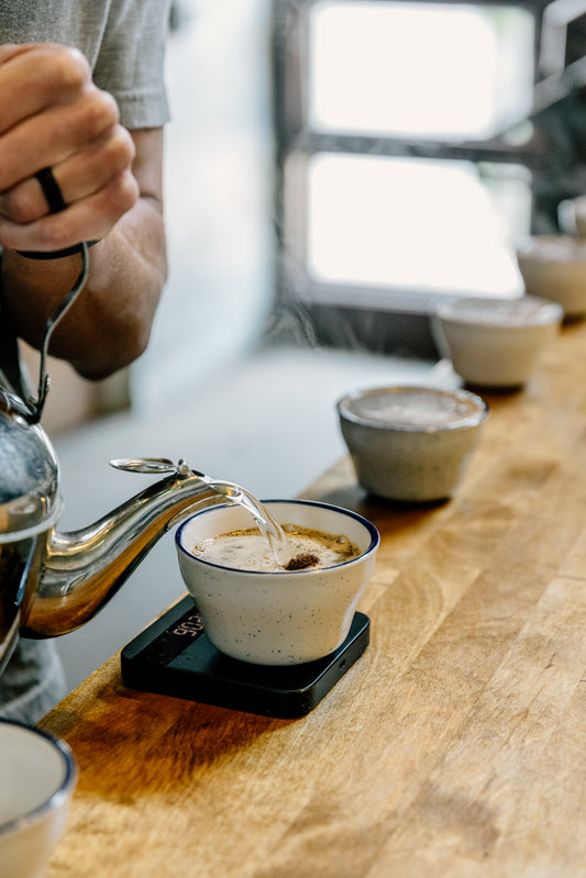 Public Coffee Cupping