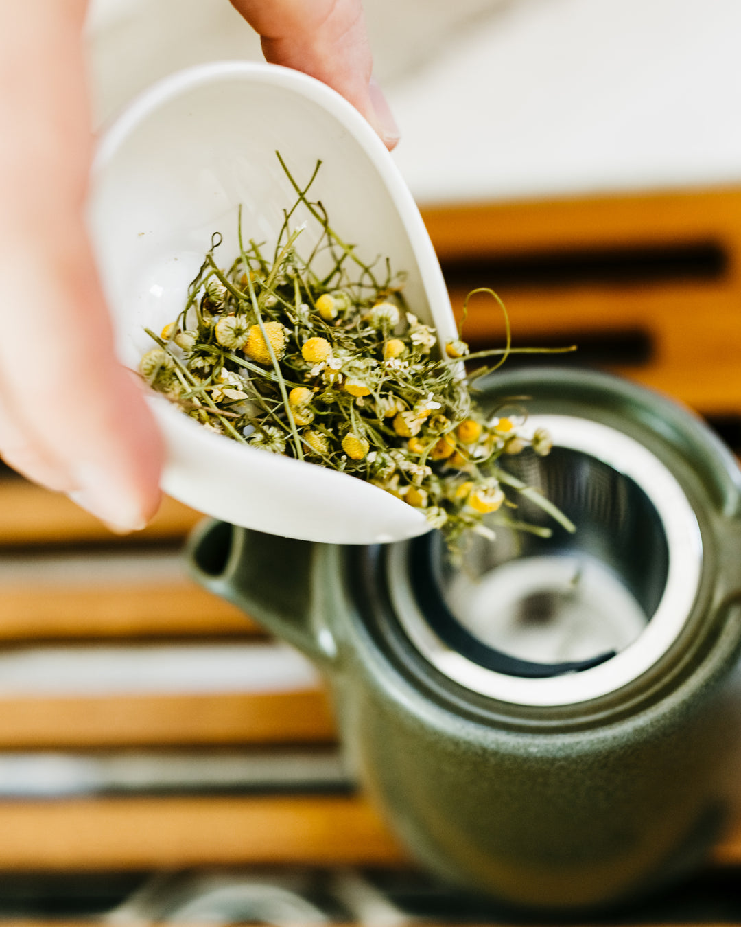 Star Bright Chamomile