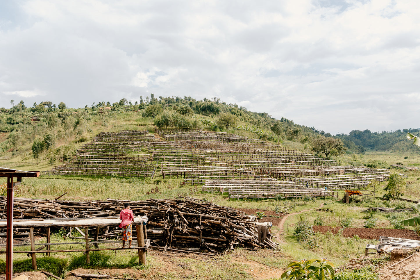 Ninga Washing Station - Hills Set