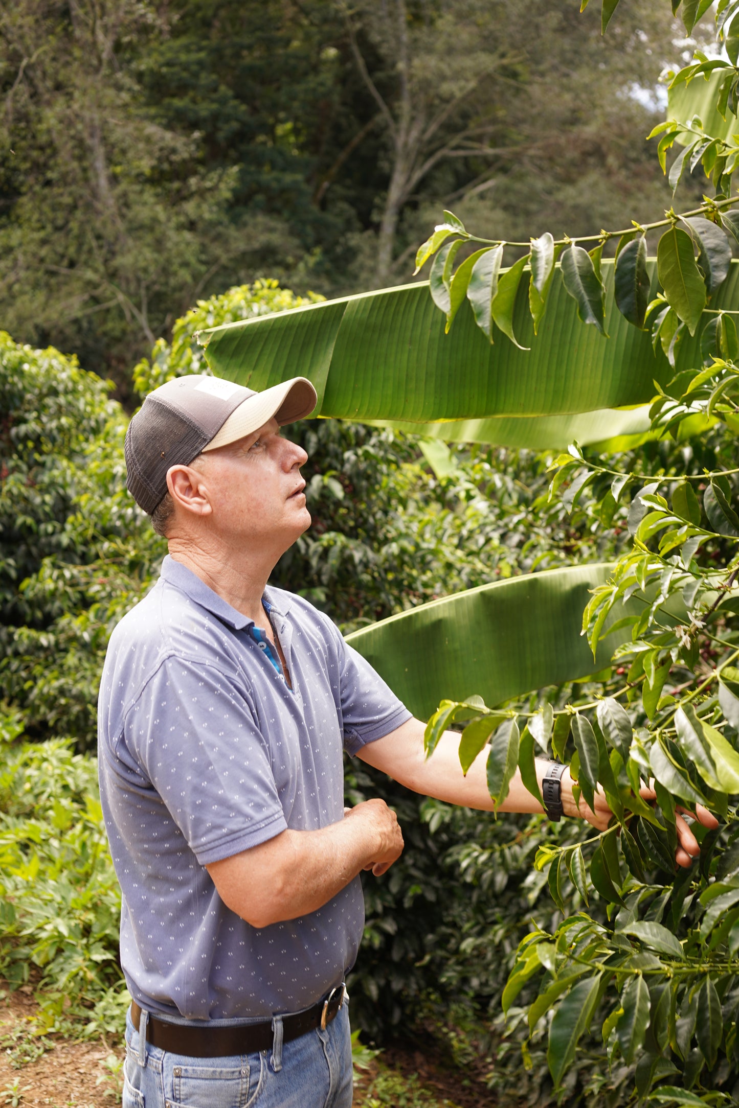 Ivan Gutierrez