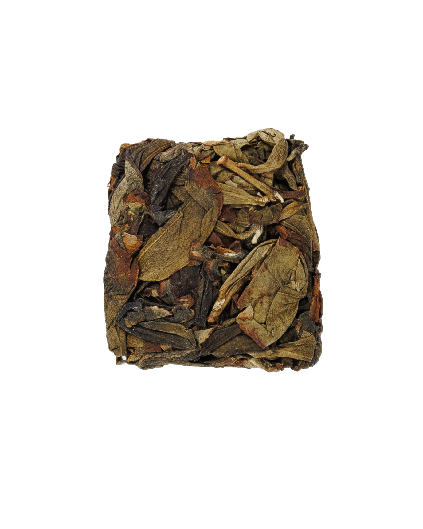 Hand Pressed Oolong - 2025