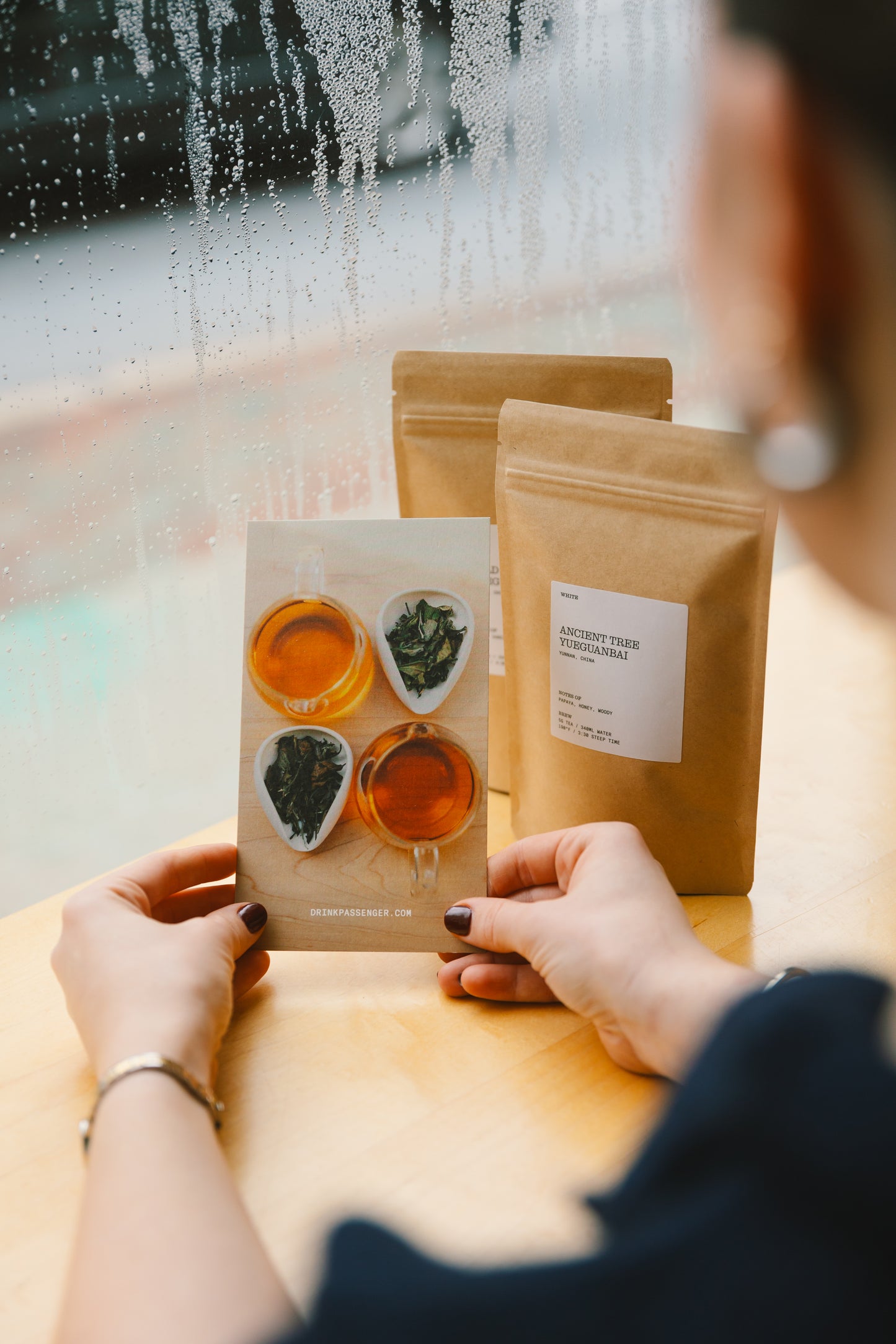 Yueguanbai White Tea Tasting Set