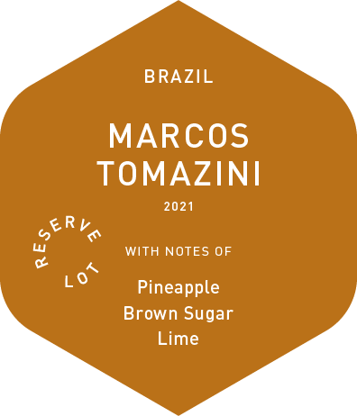 Marcos Tomazini  - Wet Process - 2021