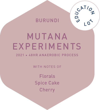 Mutana Experements - 48hr Anaerobic Process - Education Lot - 2021