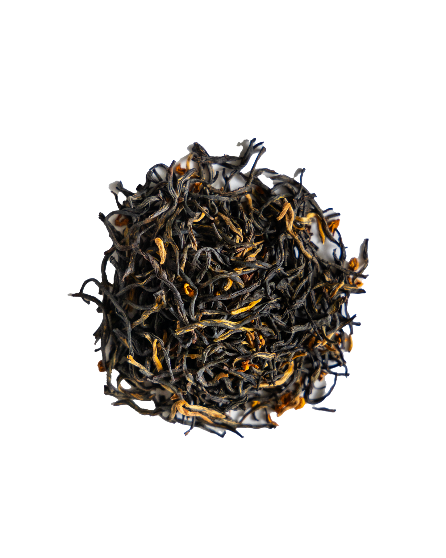 Red Osmanthus - 2025