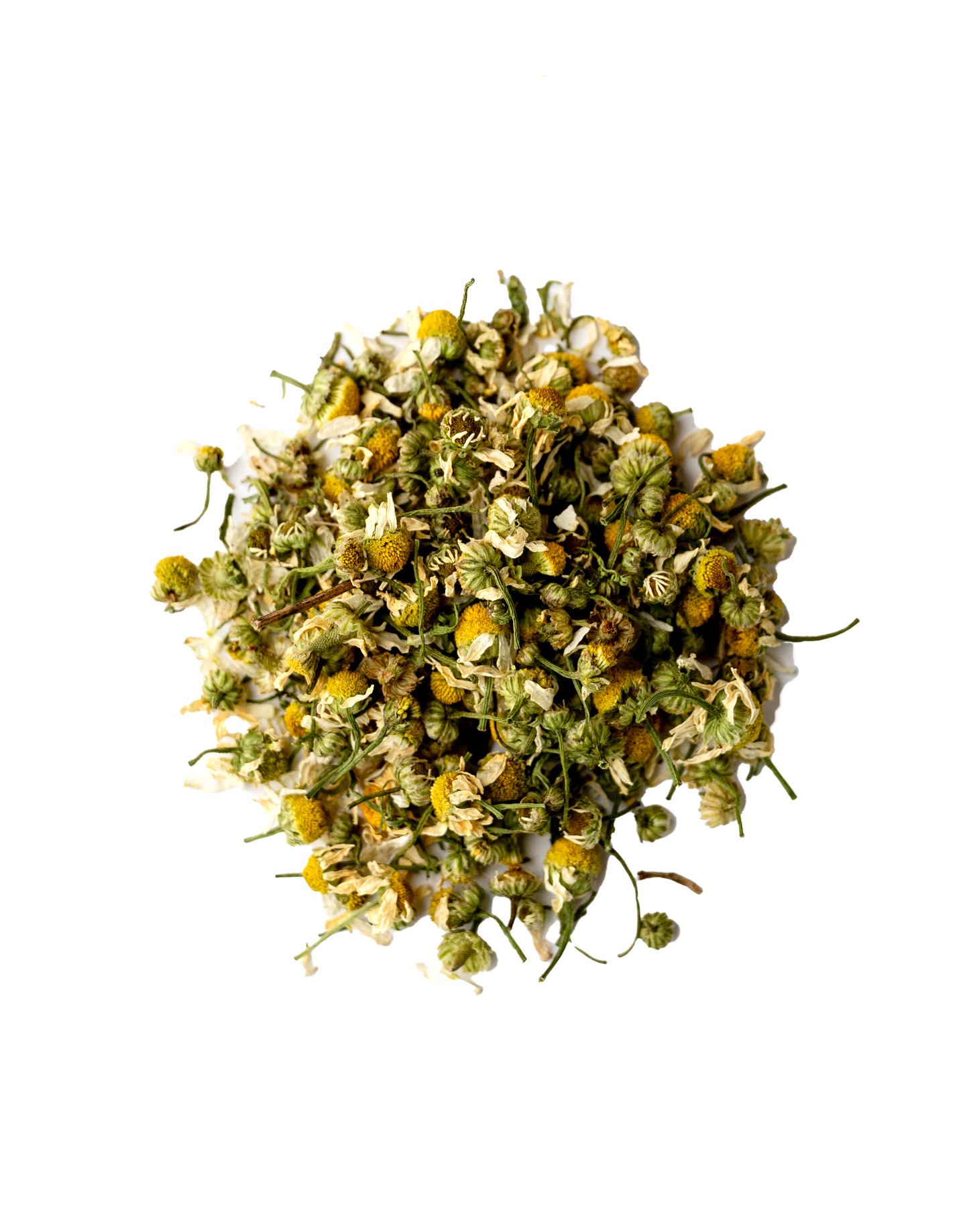 Star Bright Chamomile