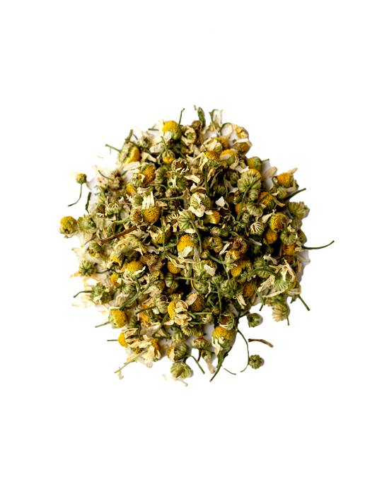 Star Bright Chamomile