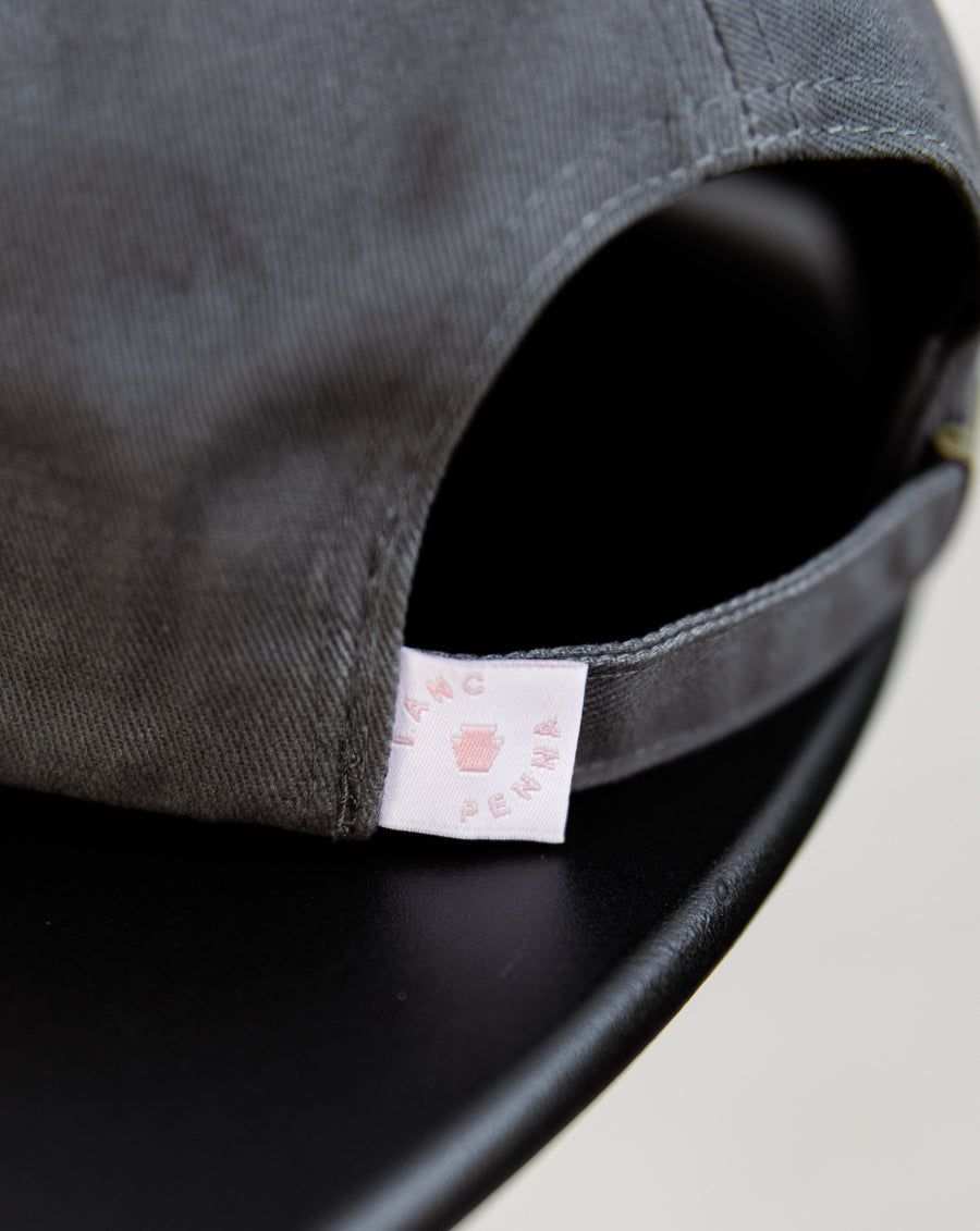 Passenger Field Trip Hat