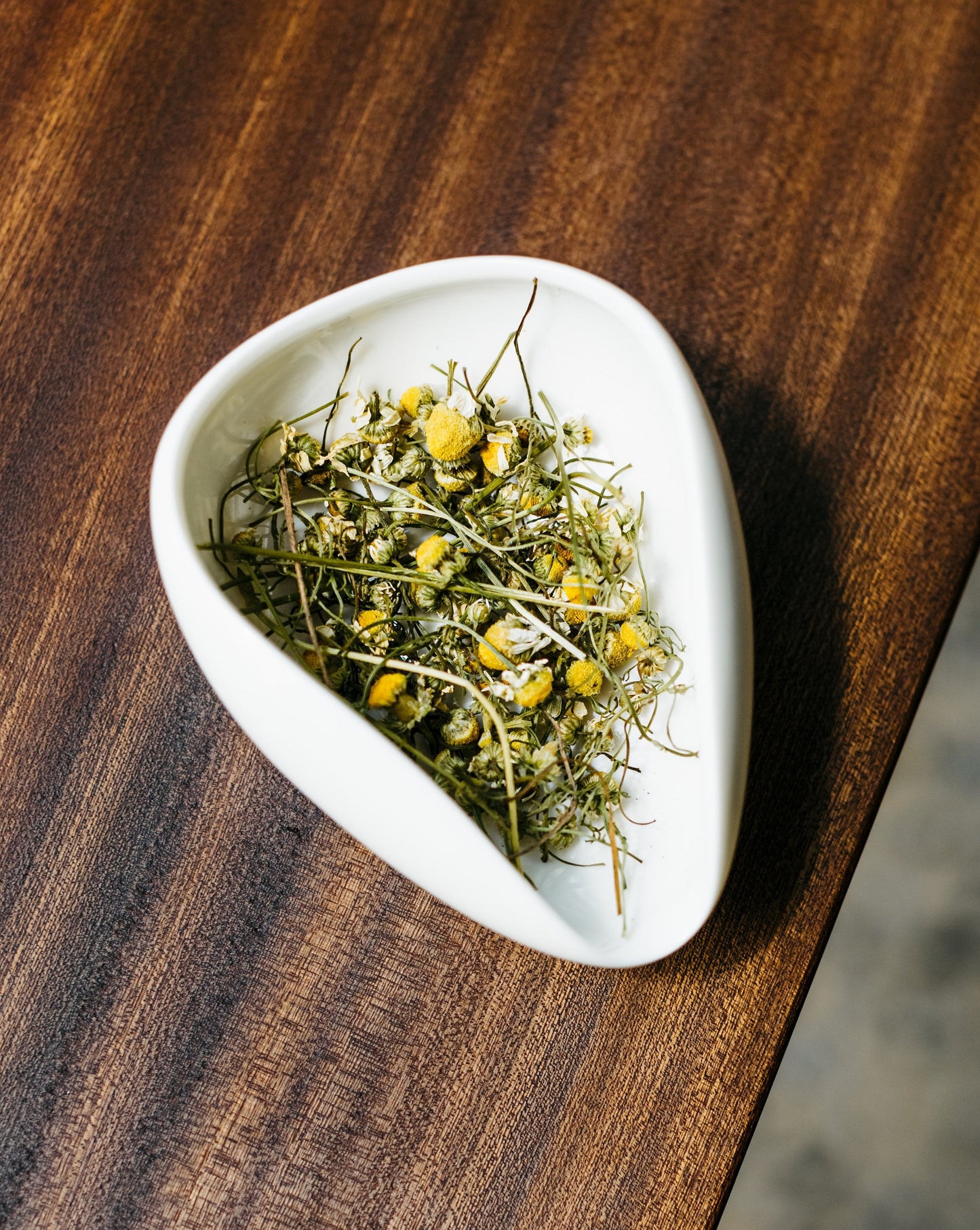 Star Bright Chamomile
